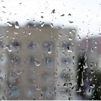 Последний майский дождик! :: Вера Шелепова