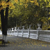 В осеннем парке :: Сергей Елесин