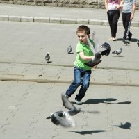 погоня за голубями :: Maxim Smiridi