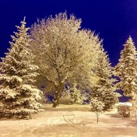 Снег :: Eldar Baykiev
