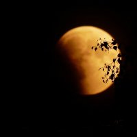 Лунное затмение (двойная тень) :: Григорий Капустин