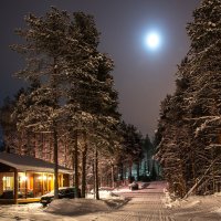Зима :: Наталья Патокина