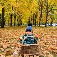 Малыш и осень :: Елена 