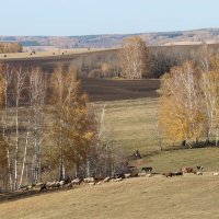 осенний променад :: Ольга Гомзина