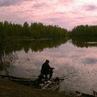 утро на рыбалке :: александр дмитриев 