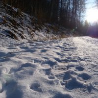 Следы на снегу :: Heinz Thorns