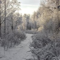 Зима :: Андрей Костров