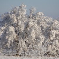 Зимний пейзаж :: Виктор Новиков