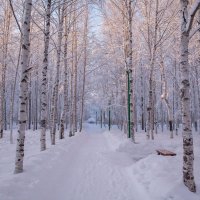 Зимний парк :: Влад Владов