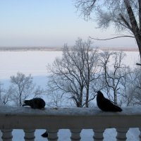 Спящая Волга :: Надежда 