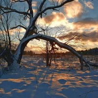 Краски зимнего заката :: Анатолий Мо Ка