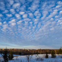 небо в облаках :: Пушистая 