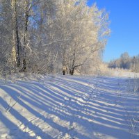 Длинные тени в короткий зимний день :: Татьяна Лютаева