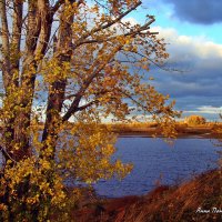 Осень – расцвет красоты природы в её увядании. :: ANNA POPOVA