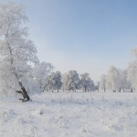 Зимний пейзаж :: Вадим Басов