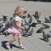Солнце, девочка и голуби! :: Валентина  Нефёдова 