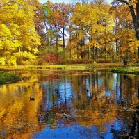 Золотая осень в Екатерининском Парке... :: Sergey Gordoff