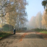 Дорога в туманную осень :: Николай Белавин