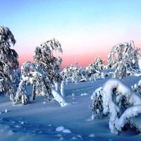 Морозное утро в Лапландии, Финляндия... :: ГЕНРИХ 