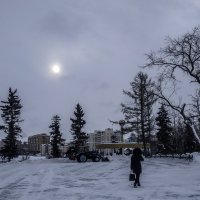 Январский пейзаж :: Юлия Денискина