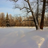 В зимнем парке :: Наталья Герасимова
