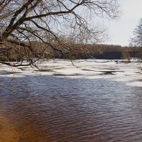 Лед тронулся :: Смирнова Ольга 