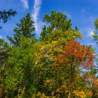 Осеннее фото :: Артём 