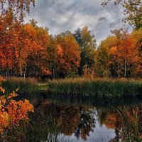 Осень :: Роман Савоцкий