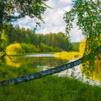 На берегу реки :: Александр Ульныров