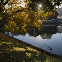 у пруда :: Елена Агеева