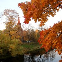 Осень в Царском Селе :: Наталья Герасимова