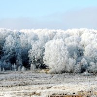 Зима в Алтайском крае! :: Татьяна 