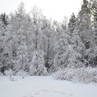 Зима :: Александра Парфёнова