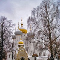 Зима в Новодевичем :: Григорий Карамянц