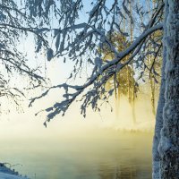 Зимние зарисовки. :: Алексей. Бордовский