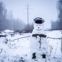 Снегодяй) :: Юлия Аксёнова
