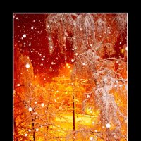 Зима в окне :: Анна Яковенко