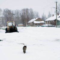 Хозяин. Обход округи :: Наталья 