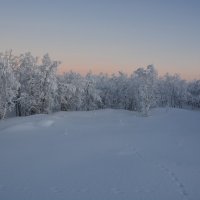 ... :: Сергей Зуев