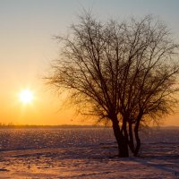 Рассвет :: Евгений Уваров