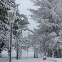 Зимняя сказка в Румынии :: Djulieta Machidon