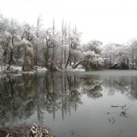 Зимний пруд :: Марина Кирякова