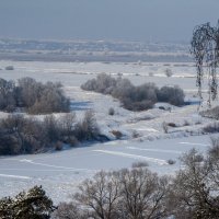 Заливные луга :: Светлана Яковлева