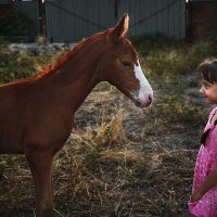 Знакомство) :: Татьяна Николаева