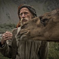 Tourist with a camel :: Keti B