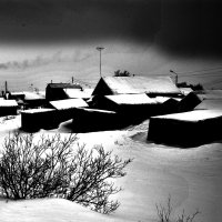 Winter silence :: Gennady Chubko