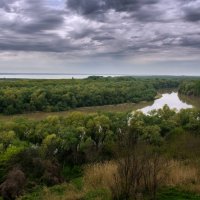 Кубань летом :: Геннадий 