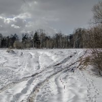 В конце зимы :: Людмила Финкель