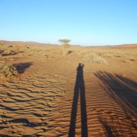Пустыня Намиб :: Илья Кочанов