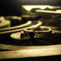 Spider :: Яна Рафикова